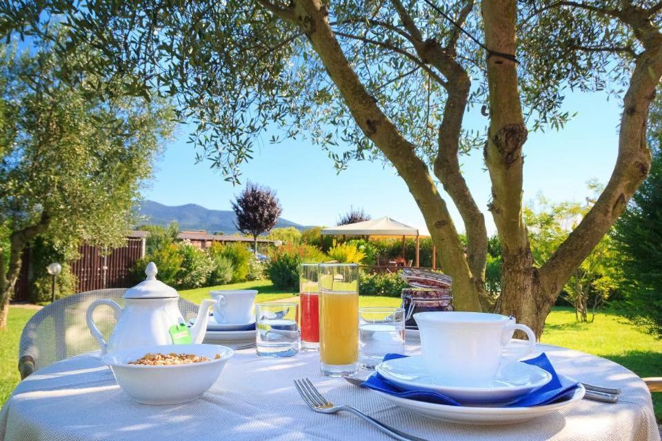 Agriturismo - B&B L'Acquacotta Castiglione della Pescaia Eksteriør bilde