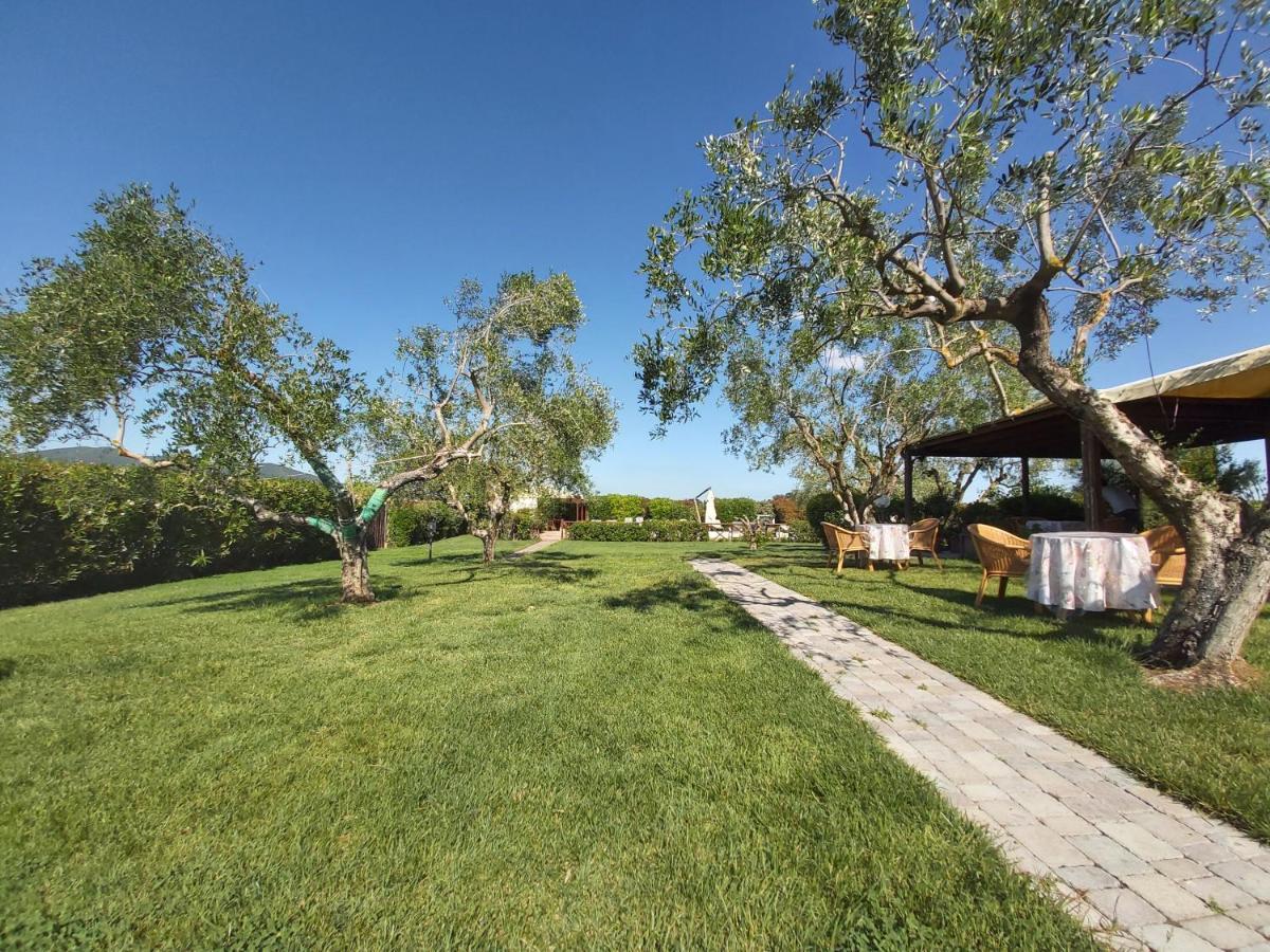 Agriturismo - B&B L'Acquacotta Castiglione della Pescaia Eksteriør bilde
